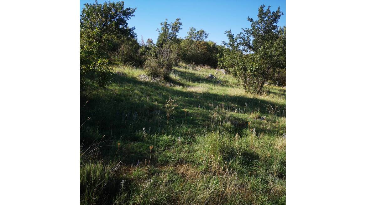 Rogami, Djurkovići, Podgorica