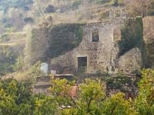 Stoliv, Kotor