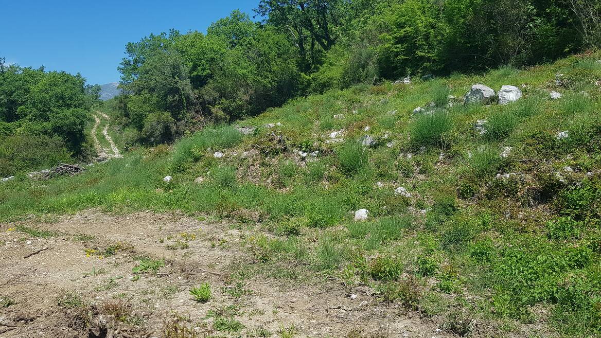 p9854 Urbanizovan plac sa pogledom na more, prodaja/zajednička gradnja, Reževići, Budva