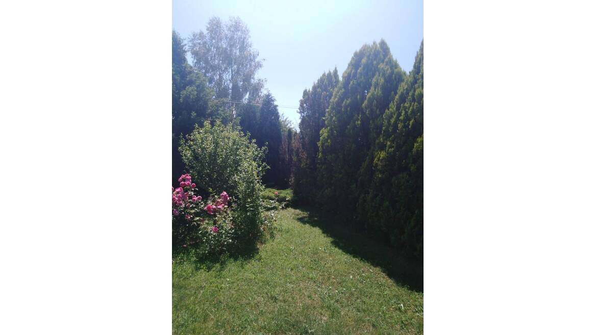 Kličevo, Nikšić