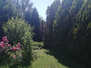 Kličevo, Nikšić