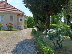 Niksic, Gornje Polje bb, Nikšić