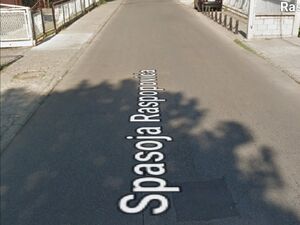 Spasoja Raspopovića, Podgorica