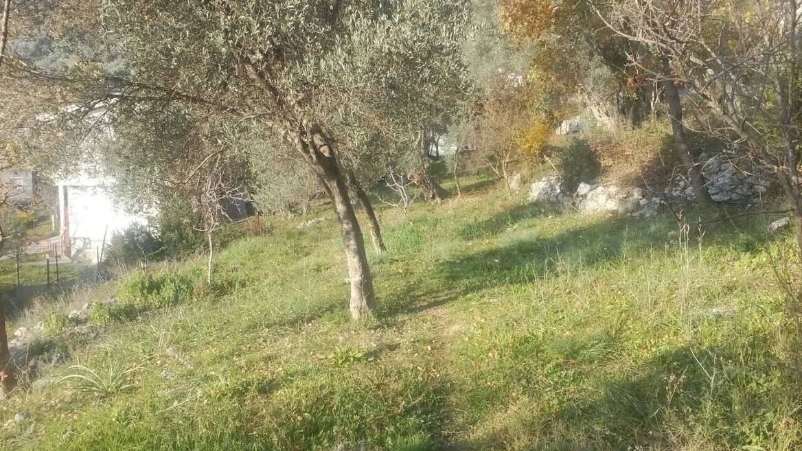 Šušanj, Bar, Bar