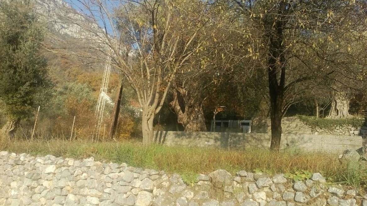 Šušanj, Bar, Bar