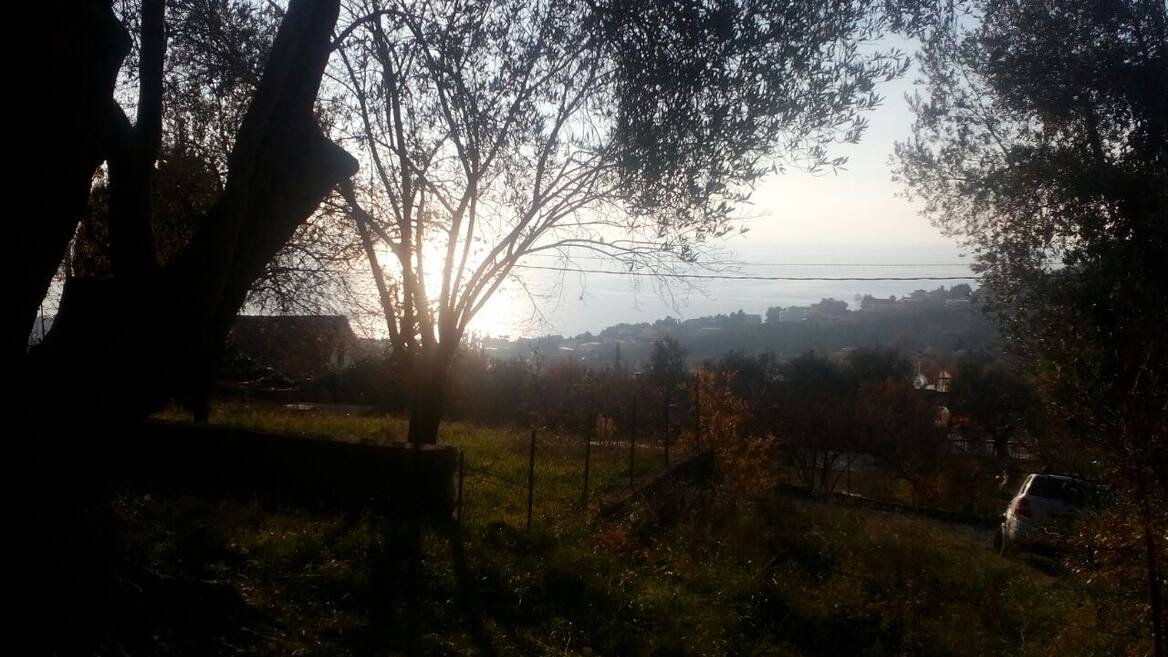 Šušanj, Bar, Bar