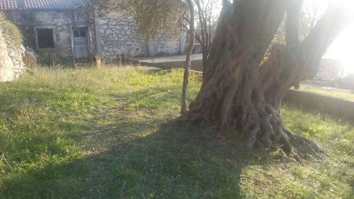 Šušanj, Bar, Bar