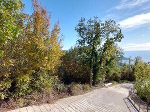 Lapčići, Budva