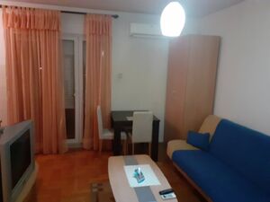 zabjelska vektra, Podgorica