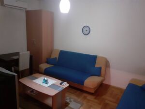 zabjelska vektra, Podgorica