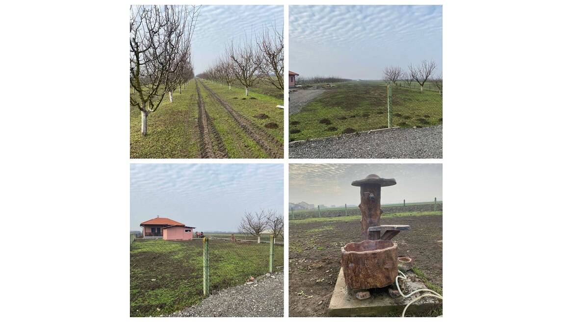 Ugrinovci, Beograd
