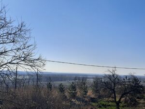 Belegis, Stara Pazova