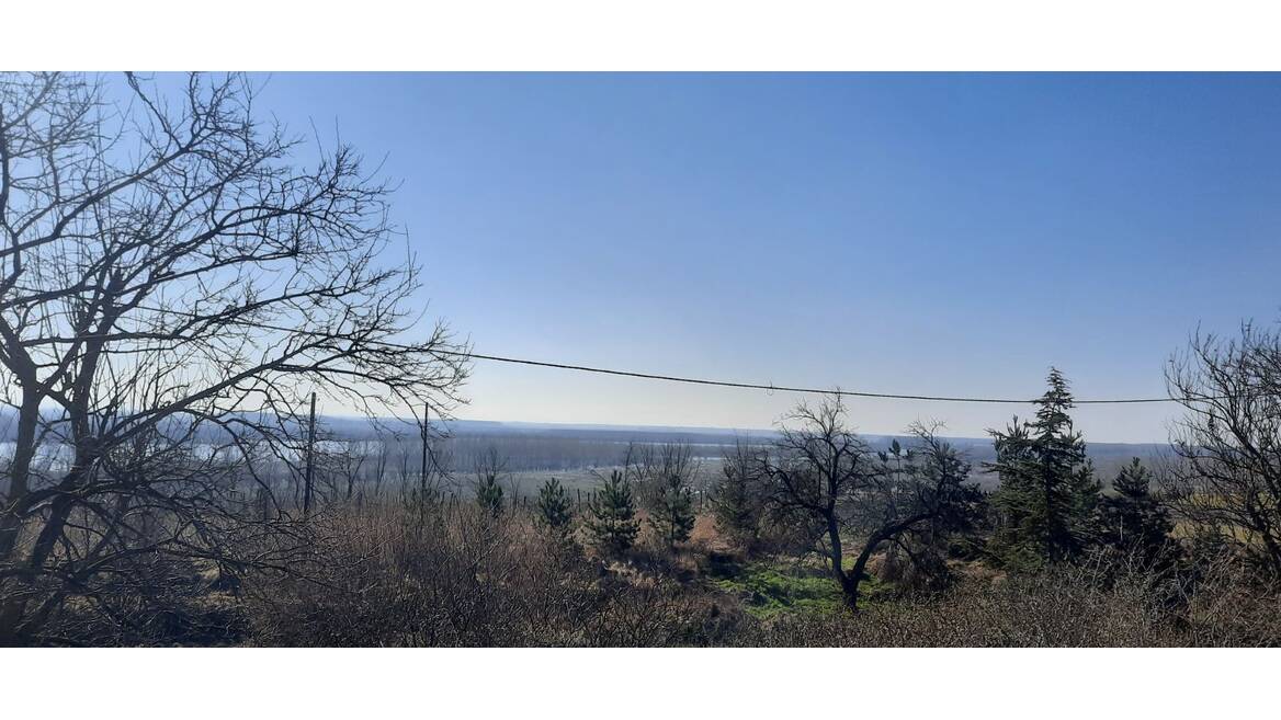 Belegis, Stara Pazova