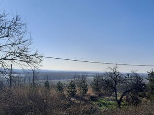 Belegis, Stara Pazova