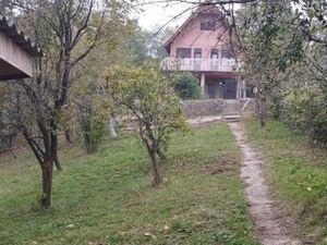 Brancic, Ljig