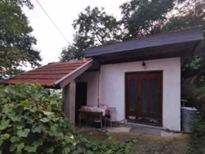 Brancic, Ljig