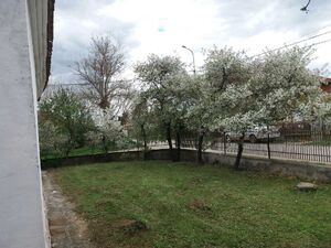 Glibovac, Smederevska Palanka