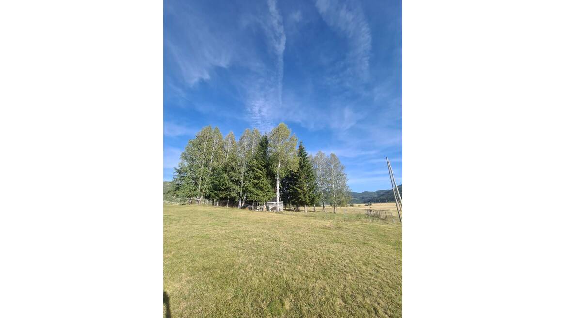 Donja Brezna, Plužine