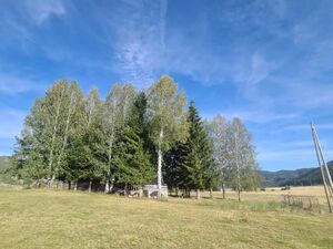 Donja Brezna, Plužine