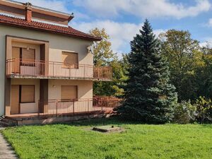 Bacevac, Beograd