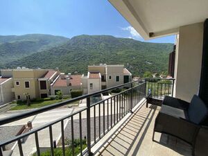 Lavender Bay, Kotor