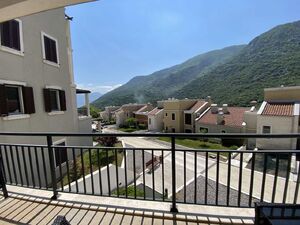 Lavender Bay, Kotor