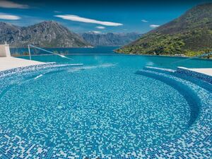 Lavender Bay, Kotor