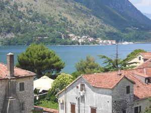 Plagenti, Kotor