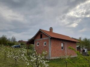 Sume, Topola