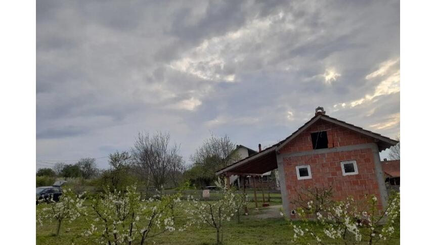 Sume, Topola