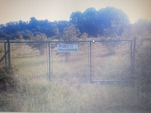 Belanovica, Ljig