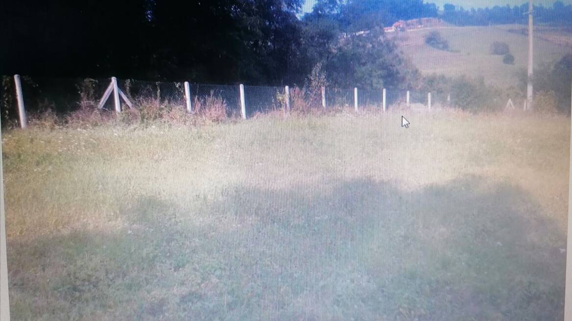 Belanovica, Ljig