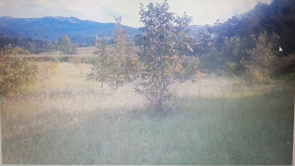 Belanovica, Ljig
