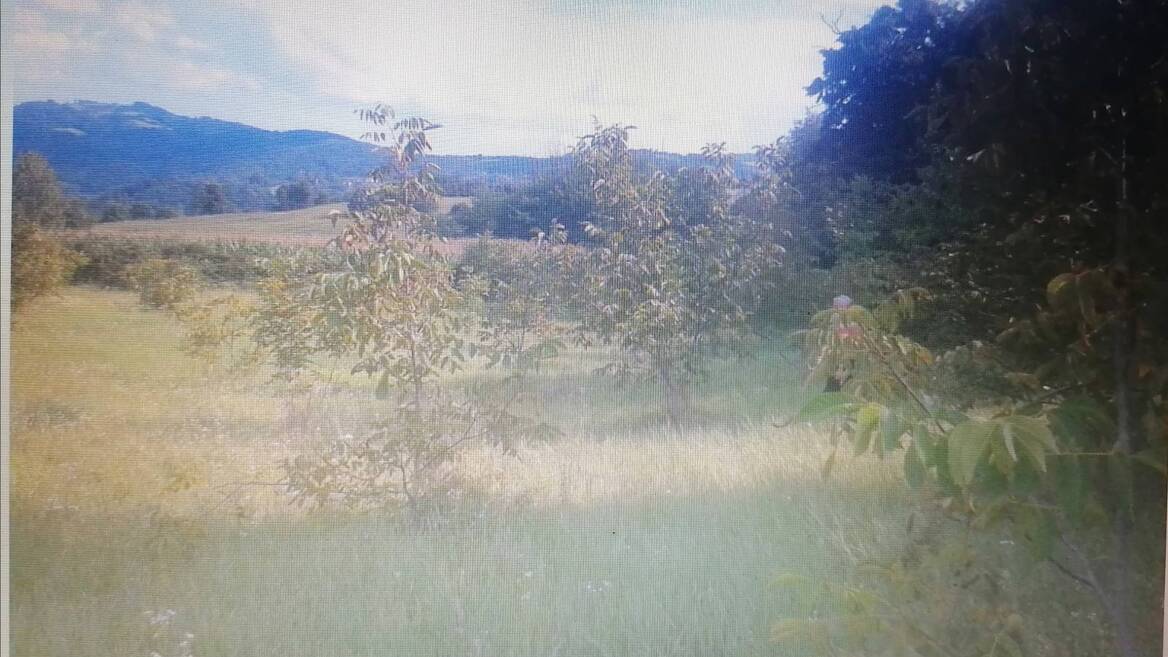 Belanovica, Ljig