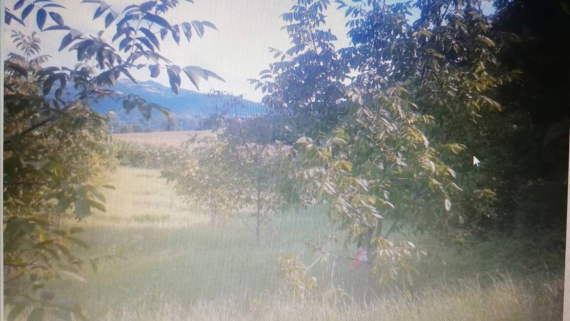 Belanovica, Ljig
