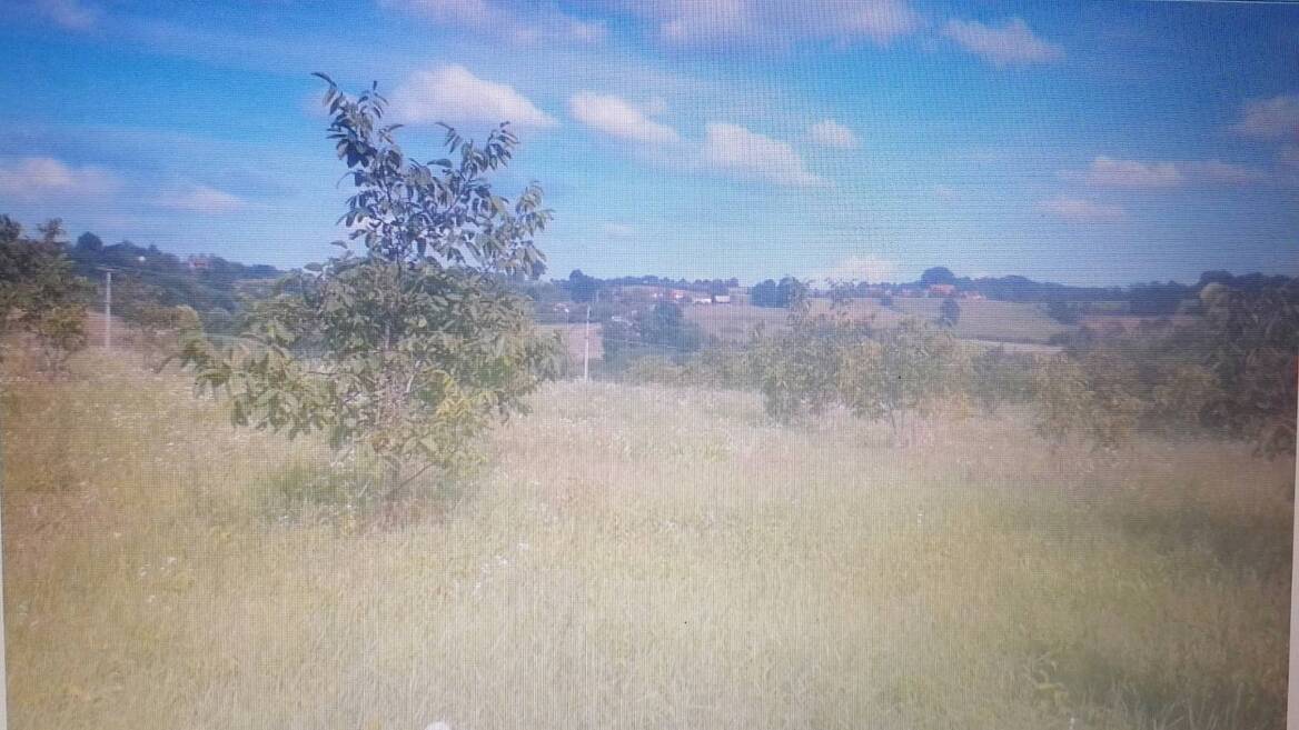 Belanovica, Ljig