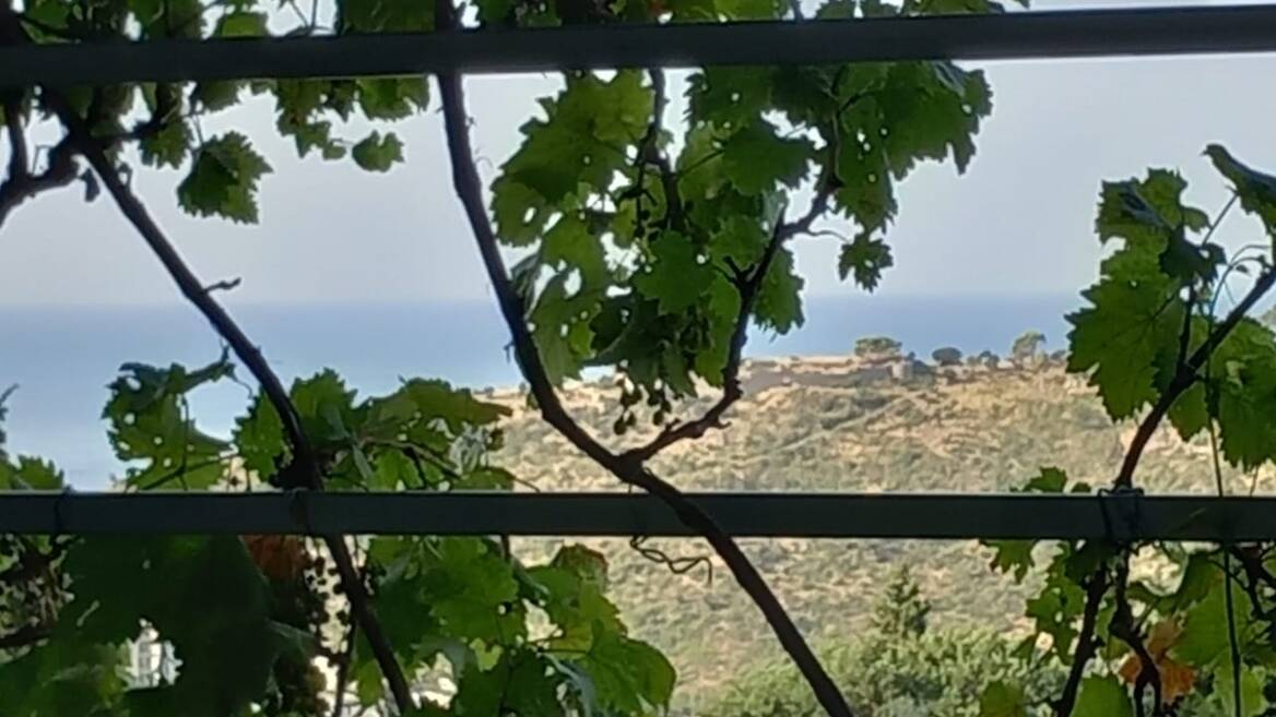 Rutke, Bar