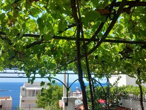 Dobre Vode, Bar Bar