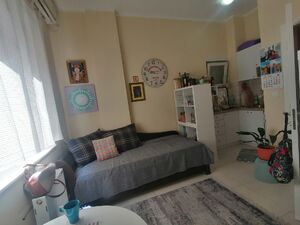 Petra Drapšina 36, Novi Sad