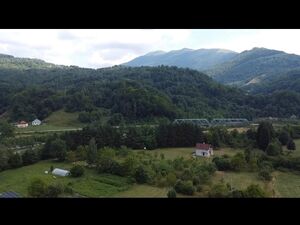 Podbišće, Mojkovac