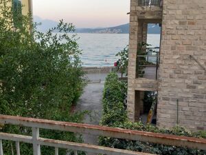 Đenovići, Herceg Novi, Herceg Novi