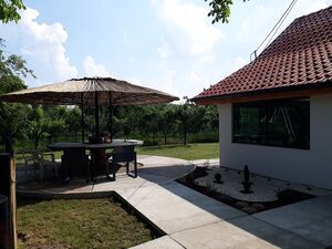 Pancevacki put, Beograd