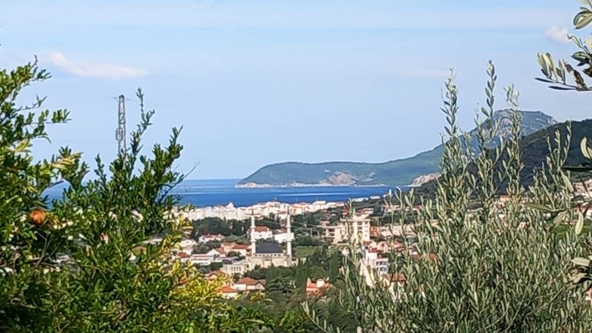 Bartula, Bar