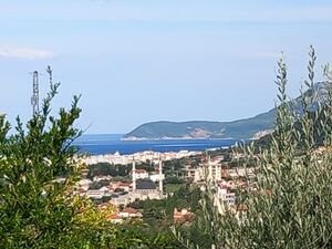 Bartula, Bar