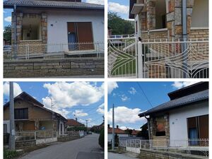 Citluk, Kruševac