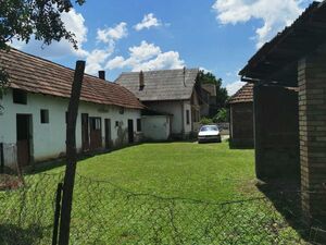 Citluk, Kruševac