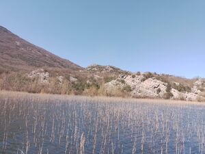Cetinje, Cetinje