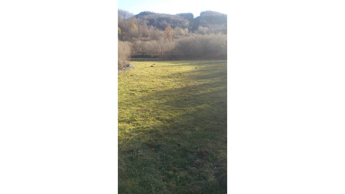 Cetinje, Cetinje