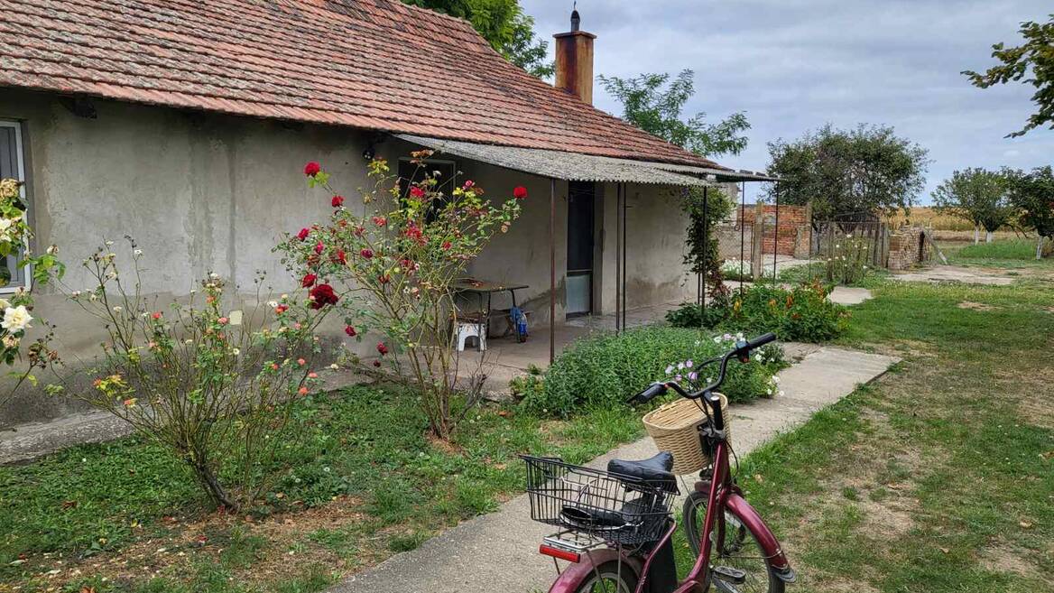 Banatsko Arandjelovo, Novi Kneževac