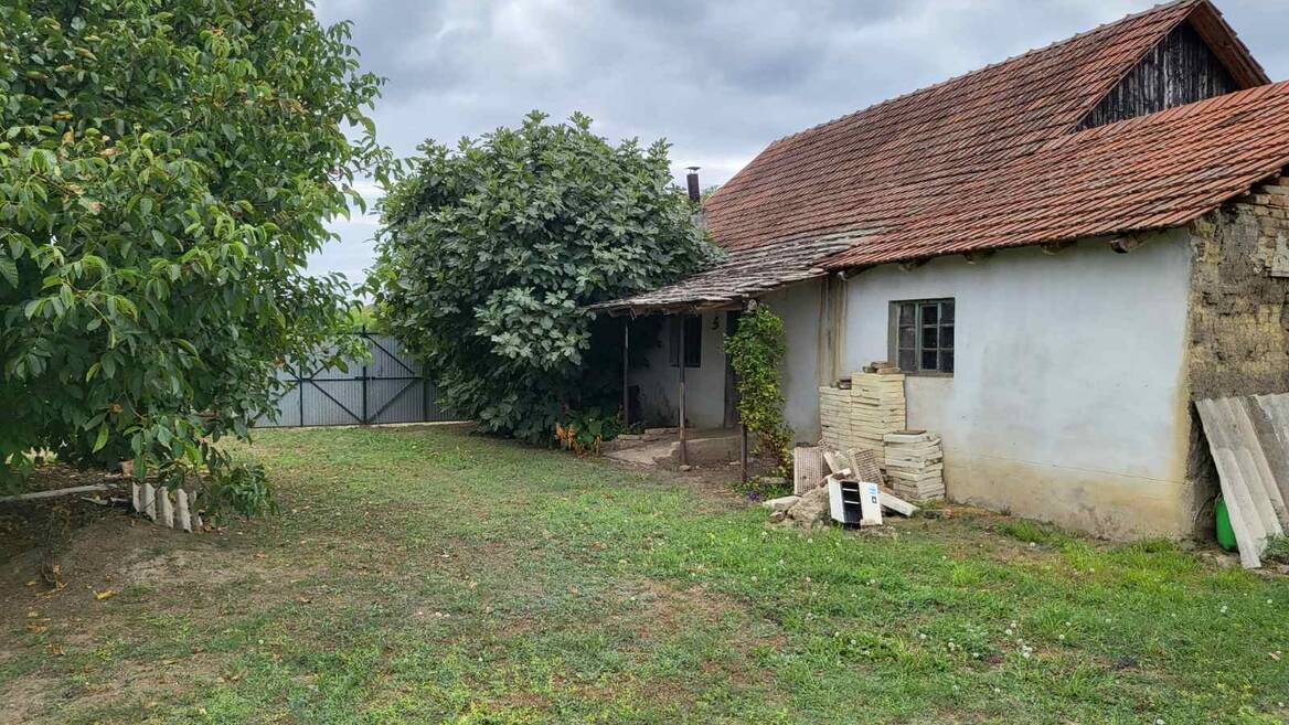 Banatsko Arandjelovo, Novi Kneževac